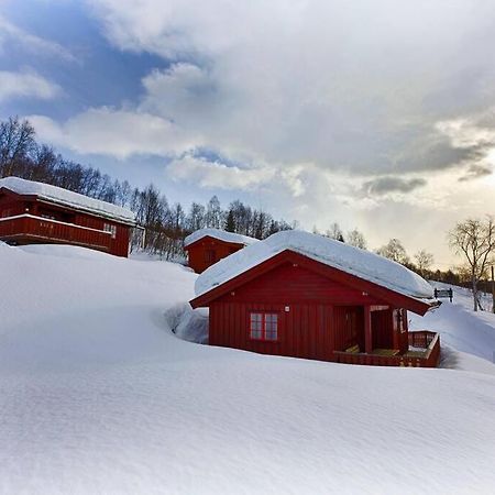 Kvetos Naturopplevelser Beitostolen Exteriér fotografie